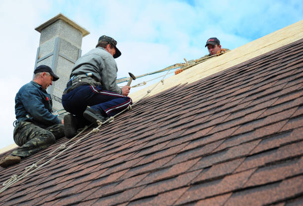 Best Metal Roofing Contractor  in North Utica, IL